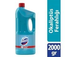 Domestos Çamaşır Suyu Okalıptus Ferahlığı 2 Lt