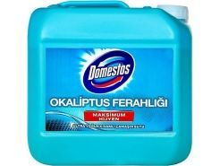 Domestos Çamaşır Suyu Okalıptus...